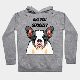 Frenchie Are You Serious Hoodie